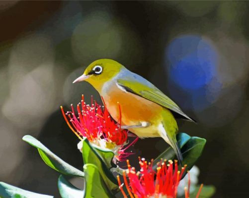 Cute Bird On Pohutukawa Flower Paint By Numbers