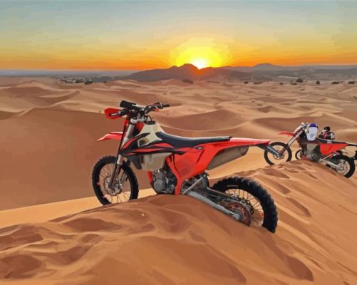 Desert Motorcycle Paint By Numbers