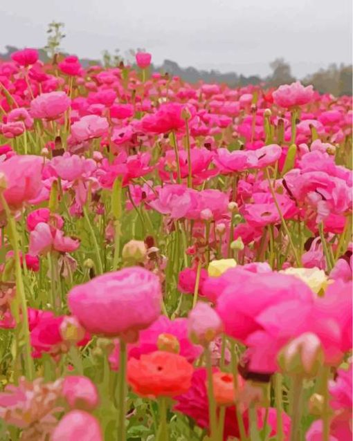 Field Of Flowers With Pink Paint By Numbers