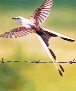 Flying Oklahoma Flycatcher Paint By Numbers
