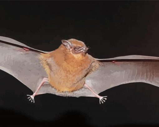 Flying Winged Bat Paint By Numbers