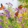 Monarch Butterflies Garden Paint By Numbers