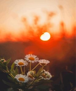 Nature Flowers Sunset Paint By Numbers