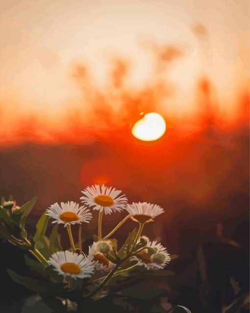 Nature Flowers Sunset Paint By Numbers