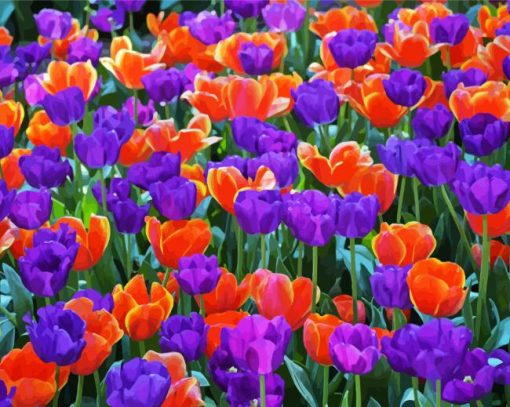 Orange And Purple Tulips Flowers Paint By Numbers