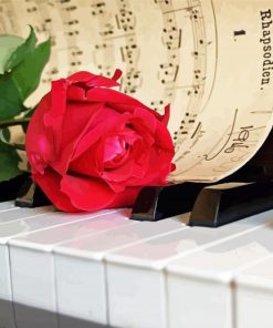 Piano With Pink Rose Flower Paint By Numbers