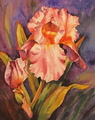 Pink Iris Flower Art Paint By Numbers