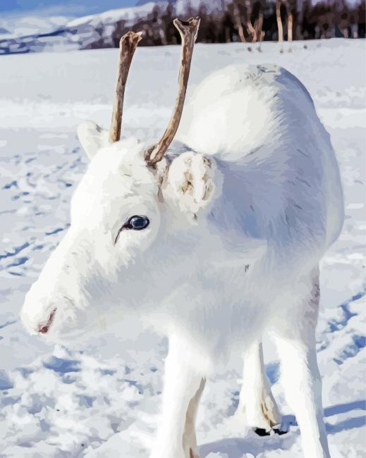 White Deer In Snow Paint By Numbers