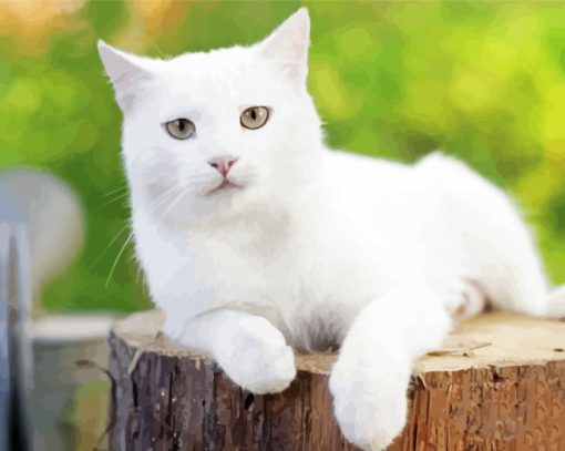 White Cat Paint By Numbers