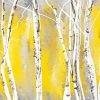 Yellow And Gray Birch Trees Paint By Numbers