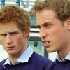 Young Prince William And Harry Paint By Numbers