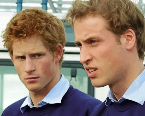 Young Prince William And Harry Paint By Numbers