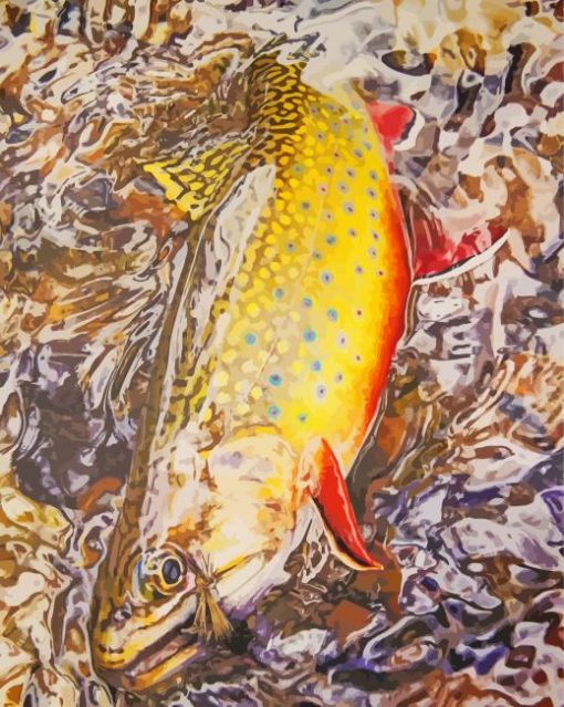 Brook Trout Paint By Numbers