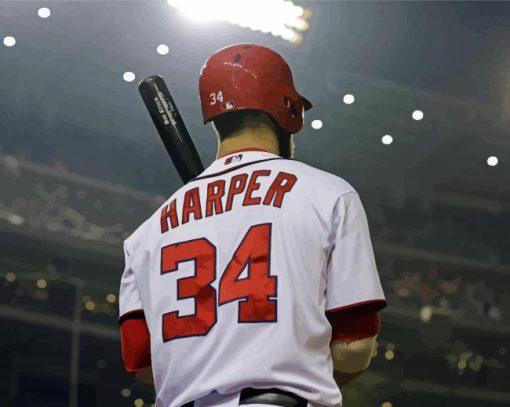 Bryce Harper Back Paint By Numbers