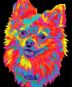 Colorful Pomeranian Head Paint By Numbers