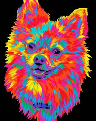 Colorful Pomeranian Head Paint By Numbers