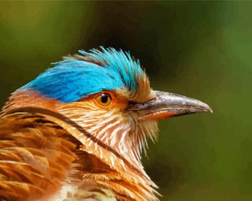 Indian Roller Bird Head Paint By Numbers