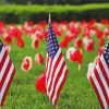 Memorial Day Flags Paint By Numbers