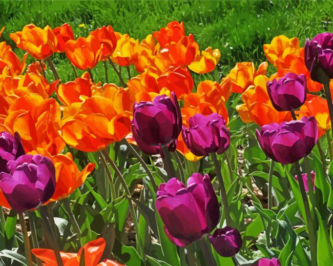 Orange Purple Tulips Field Paint By Numbers