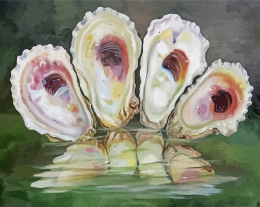 Oyster Shells Paint By Numbers