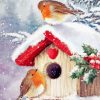 Snow Christmas Birds House Paint By Numbers