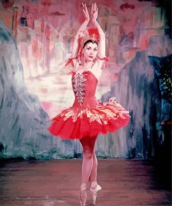 The Dancer Margot Fonteyn Paint By Numbers