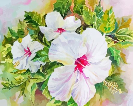 White Hibiscus Flowers Paint By Numbers