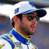 Cool Chase Elliott Paint By Numbers