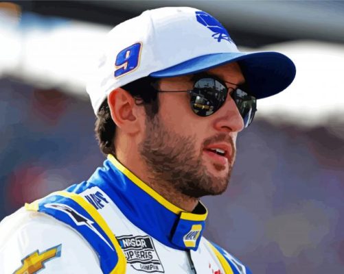 Cool Chase Elliott Paint By Numbers