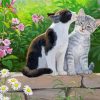 Cute Cats In Garden Paint By Numbers