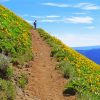 Flowering Mountain Trail Paint By Numbers