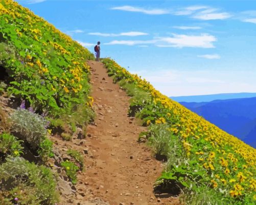 Flowering Mountain Trail Paint By Numbers