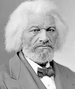Frederick Douglass Paint By Numbers