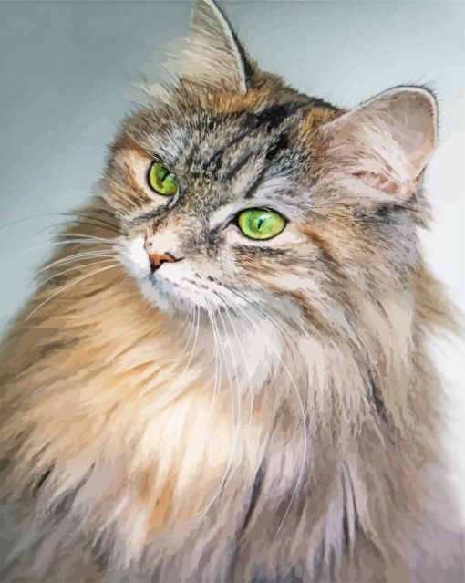 Green Eyed Siberian Cat Paint By Numbers