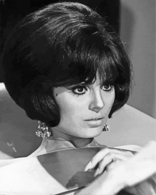 Monochrome Daliah Lavi Paint By Numbers