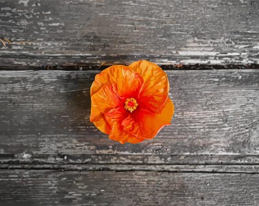 Orange Hibiscus Flower Paint By Numbers