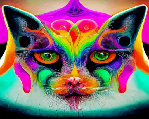 Abstract Psychedelic Cat Paint By Numbers