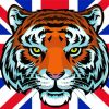 Aesthetic Patriotic Tiger Art Paint By Numbers
