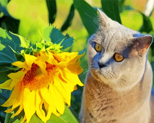 Aesthetic Cat Sunflower Paint By Numbers