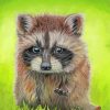 Baby Raccoon Art Paint By Numbers