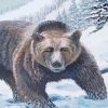 Bear In The Snow Paint By Numbers
