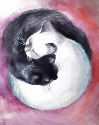 Black And White Yin And Yang Cats Paint By Numbers