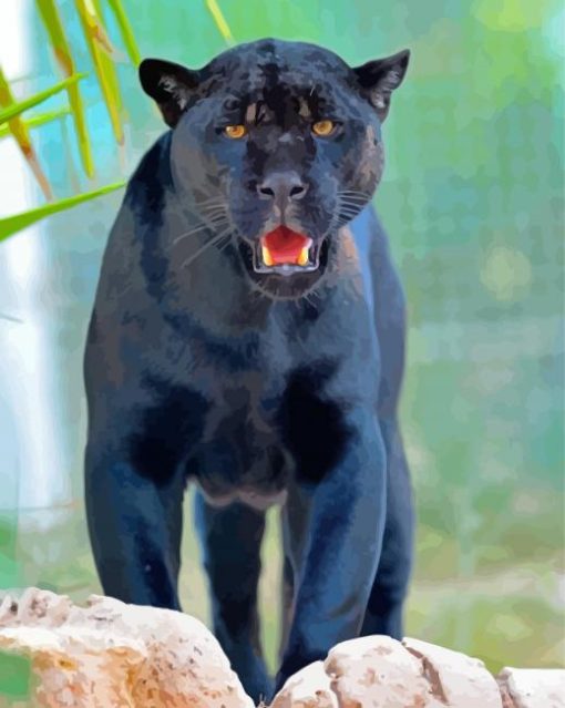 Black Jaguar Animal Paint By Numbers