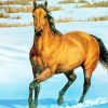 Buckskin Horse Art Paint By Numbers