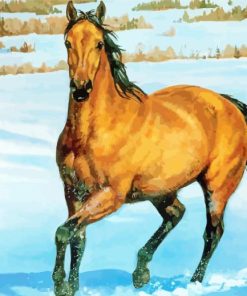 Buckskin Horse Art Paint By Numbers
