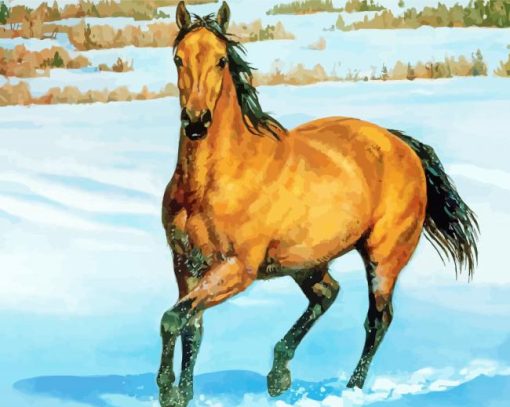 Buckskin Horse Art Paint By Numbers