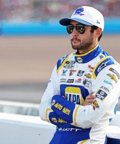 Chase Elliott Paint By Numbers