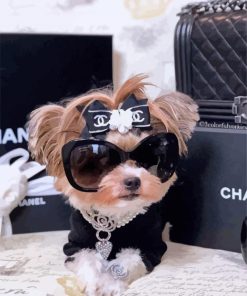 Classy Chanel Dog Paint By Numbers