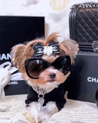 Classy Chanel Dog Paint By Numbers