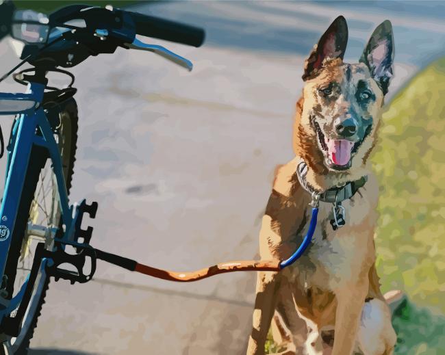 Dog With Bicycle Paint By Numbers